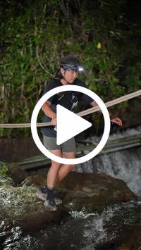 BIB:  <button type="button" onclick="openModal(27712413)" class="btn btn-primary btn-sm float-right" data-toggle="modal" data-target=".modal-high-quality">
                <i class="fa fa-download"></i> Download
                </button>